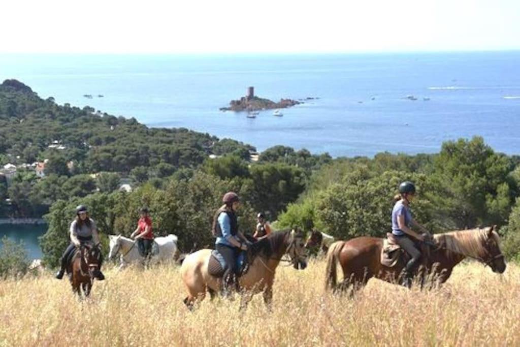 Dans Un Cadre D'Exception, Vue Mer Panoramique A Agay Cote D'Azur, Village Vacances Cap Esterel, T2 Avec Jardin, Golf, Climatisation, Wifi, 5 Piscines Saint-Raphael (Var) Exterior foto