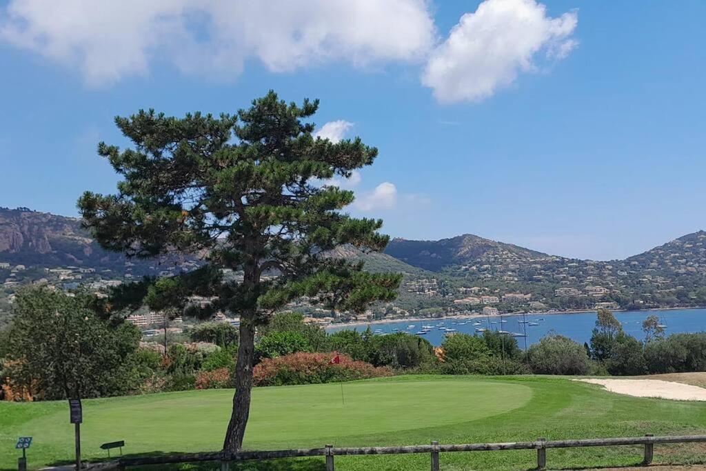 Dans Un Cadre D'Exception, Vue Mer Panoramique A Agay Cote D'Azur, Village Vacances Cap Esterel, T2 Avec Jardin, Golf, Climatisation, Wifi, 5 Piscines Saint-Raphael (Var) Exterior foto