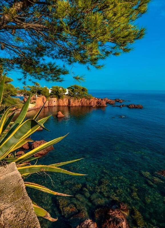 Dans Un Cadre D'Exception, Vue Mer Panoramique A Agay Cote D'Azur, Village Vacances Cap Esterel, T2 Avec Jardin, Golf, Climatisation, Wifi, 5 Piscines Saint-Raphael (Var) Exterior foto
